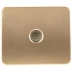 Розетка СВЕТОЗАР "ГАММА" телевизионная, без вставки и рамки, цвет золотой металлик SV-54115-GM купить в Ханты-Мансийске