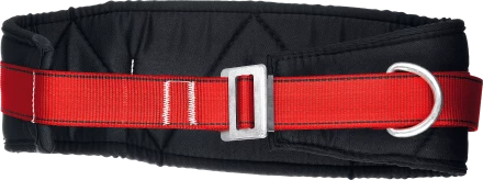 Удерживающая привязь 2 точки крепления серия Без серии 11582 купить в Ханты-Мансийске