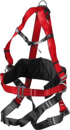 Удерживающая привязь 3 точки крепления серия Без серии купить в Ханты-Мансийске