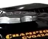 Вибратор глубинный бензиновый CHAMPION CVG424 купить в Ханты-Мансийске
