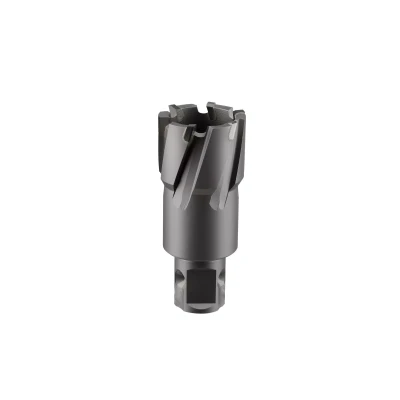 Сверло корончатое твердосплавное ALTECO TCT 14х35 82804