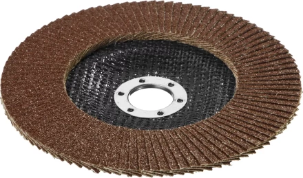 Круг шлифовальный STAYER "PROFI" лепестковый торцевой, зерно-электрокорунд нормальный, тип КЛТ 1, P60, 125х22,2мм 36581-125-060 купить в Ханты-Мансийске