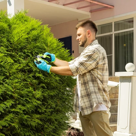 Секатор с наковальней Palisad, 190 мм, пластиковые рукоятки 60454 купить в Ханты-Мансийске