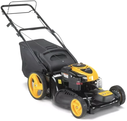 Бензиновая газонокосилка Partner P53-625DW купить в Ханты-Мансийске