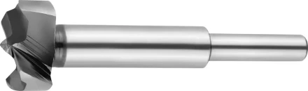 Сверло Форстнера по дереву, URAGAN 29995-25, d=25мм 29995-25 купить в Ханты-Мансийске