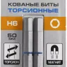 ЗУБР Hex 6, 50 мм, 2 шт, торсионные биты, Профессионал (26017-6-50-2) купить в Ханты-Мансийске