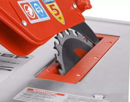 Станок распиловочный ЗПДС-200-800 серия МАСТЕР купить в Ханты-Мансийске