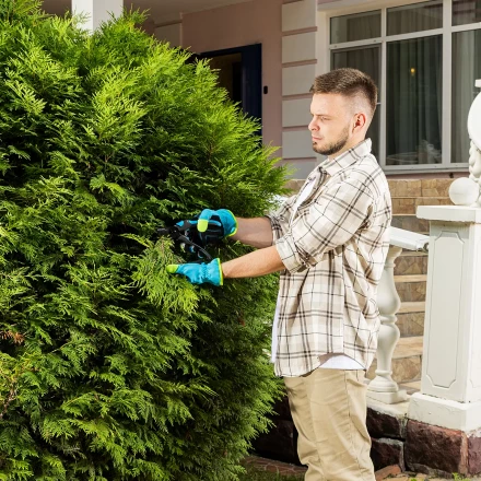 Секатор прямого реза Palisad 215 мм, двухкомпонентные рукоятки, Luxe 604775 купить в Ханты-Мансийске