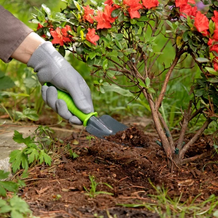 Совок узкий, защитное покрытие, пластиковая рукоятка Palisad 626528 купить в Ханты-Мансийске