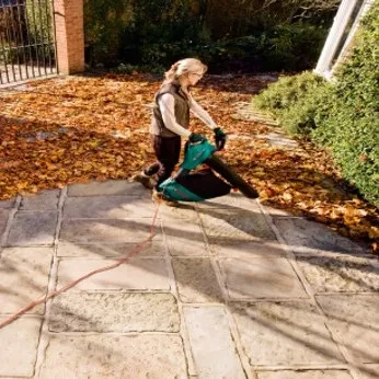 Воздуходувка-пылесос BOSCH ALS 30 W/EEU электрическая купить в Ханты-Мансийске