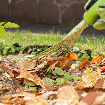 Грабли веерные 9 - зубые Palisad, 130 х 415 мм, стальные, пластиковая рукоятка, Flower Green, 620425 купить в Ханты-Мансийске