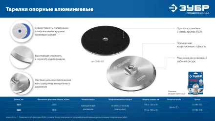 ЗУБР d 100 мм, М14, держатель алюминиевый для АГШК, ПРОФЕССИОНАЛ (35783-100) купить в Ханты-Мансийске