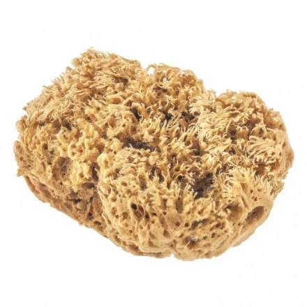 Губка натуральная для декоративных покрытий Matrix 86817 купить в Ханты-Мансийске