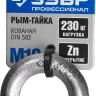 Рым-гайка DIN 582, оцинкованная, М10, 1 шт, ЗУБР Профессионал 304326-10 304326-10 купить в Ханты-Мансийске