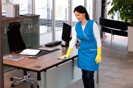 Средство для чистки поверхностей CA 30 C 1 л KARCHER купить в Ханты-Мансийске