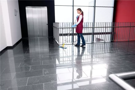 Средство для чистки поверхностей CA 30 C 1 л KARCHER купить в Ханты-Мансийске