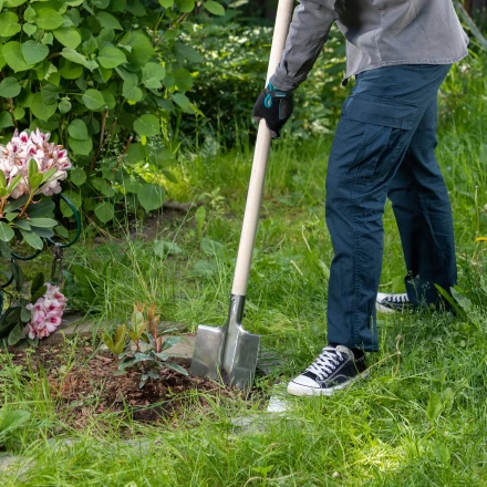Лопата штыковая, нержавеющая сталь Сибртех, 200х265 мм, ребра жесткости, без черенка, Россия 614375 купить в Ханты-Мансийске