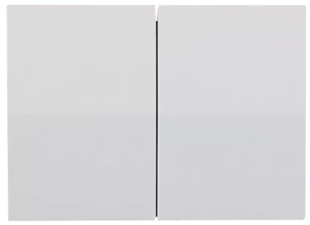 Выключатель СВЕТОЗАР &quot;ЭФФЕКТ&quot; двухклавишный, без вставки и рамки, цвет светло-серый металлик, 10A/~250B SV-54434-SM купить в Ханты-Мансийске