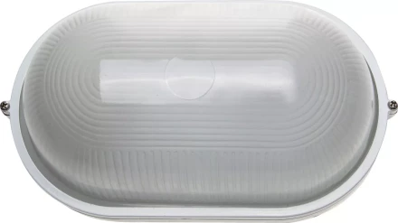 Светильник уличный СВЕТОЗАР влагозащищенный, овал, цвет белый, 100Вт SV-57203-W купить в Ханты-Мансийске